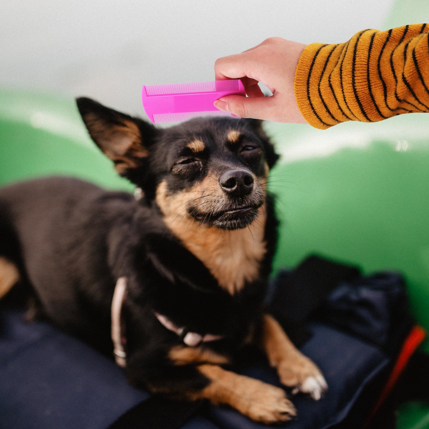 Pet Flea Combs