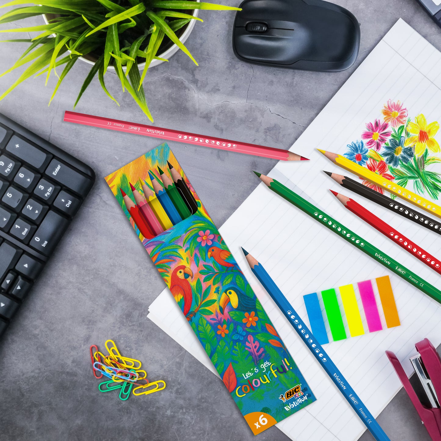BIC® Kids Evolution® Colouring set x 6 units -Box