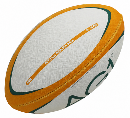 Mini Rugby Balls - 10 inch