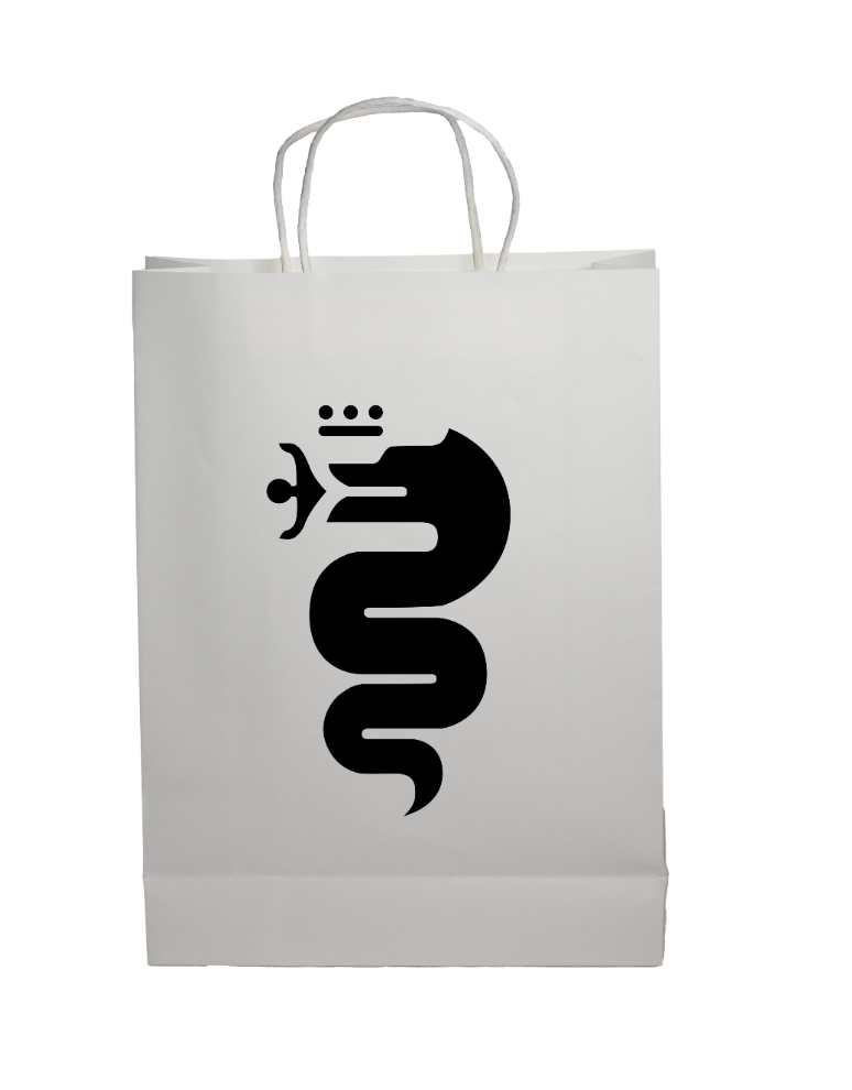Paper Show Bag